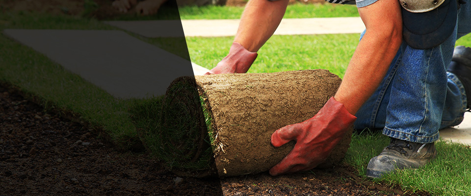 Dadeville Landscapers